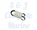 970313801 - Nanni Belt