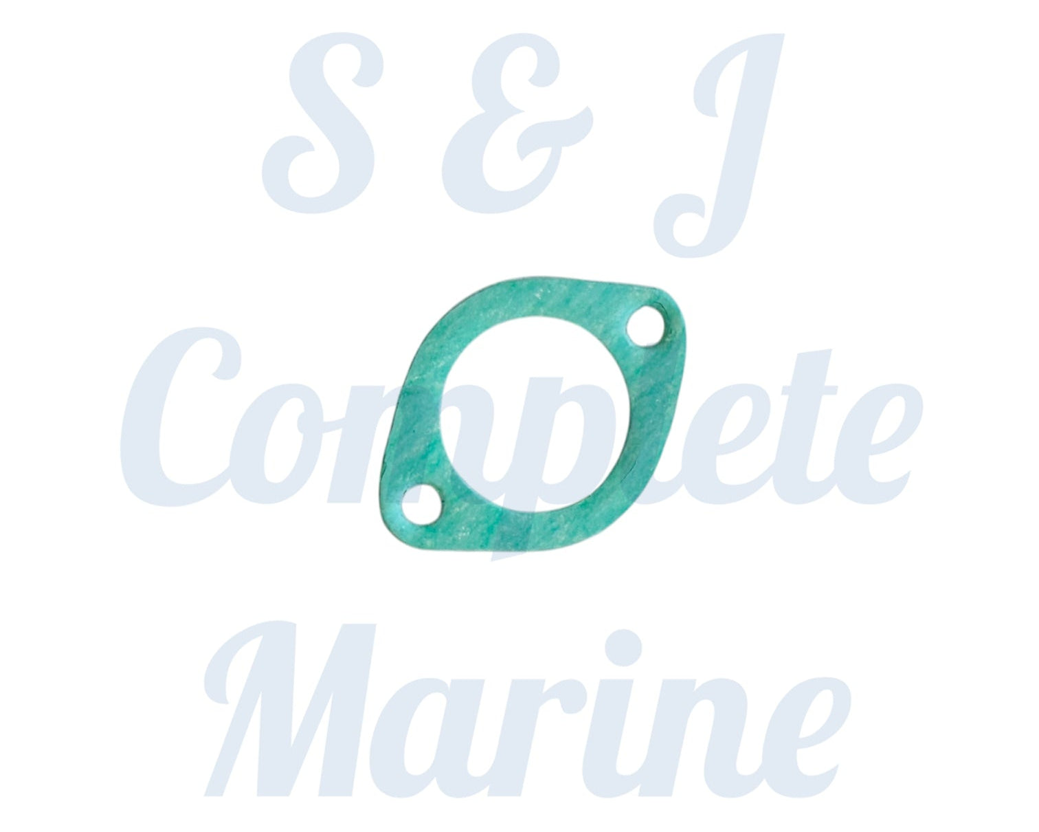970300062 - Nanni Gasket